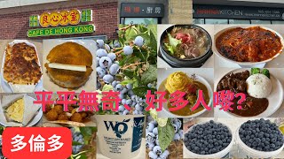 【多倫多港式茶餐廳】 平平無奇、咁多人嚟 🤔 好想知！amp 2023 Picking Blueberries in the Summer  夏天摘藍莓 一年一度摘清甜藍莓好去處 [upl. by Christensen]