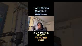 歌ってみた このまま君だけを奪い去りたい／WANDS cover 【心に響く】カラオケ🎙️引用元音源 Guitar Practice Channel [upl. by Biddle]