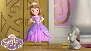 Sofia the First Theme Song  disneyjr [upl. by Mavra631]