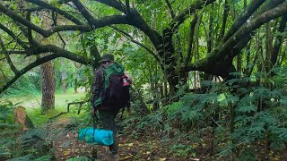 SOLO CAMPING IN HEAVY RAIN at NIGHT  RELAXING CAMPING in THE RAIN  NATURE SOUND [upl. by Avla172]