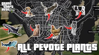 GTA 5  All 27 Peyote Plants Location Guide  Play as an animal [upl. by Amata991]