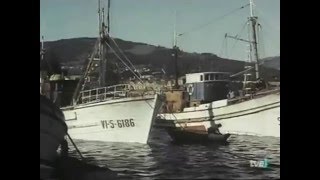 El Peregrino  Documental sobre Galicia 1963 [upl. by Hairahs]