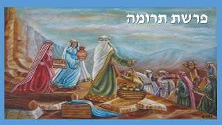 Perlas de la Torah Parashat Terumah [upl. by Aciretal]