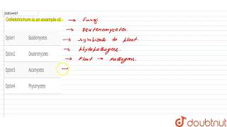 Colletotrichum is an example of [upl. by Aholah]