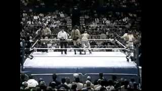 Demolition Smash amp Crush vs the Bushwackers WWF PTW 1990mpg [upl. by Kennith]