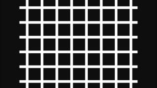 Optical illusion Hermann grid illusion [upl. by Renba127]