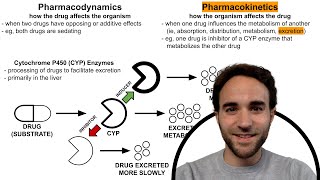 CYP Enzyme Inhibitors amp Inducers Psychotropic DrugDrug Interactions [upl. by Aerdnaek184]