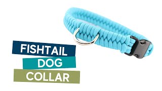 HOW TO MAKE A SWITCHBACKFISHTAIL PARACORD DOG COLLAR TUTORIAL [upl. by Carew]