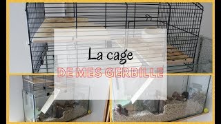 ➳ La cage de mes gerbilles  CAGESENVIRONNEMENT [upl. by Torto832]