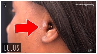 Wow This Tragus Piercing Is BAD [upl. by Bibeau]