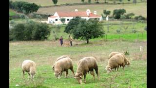 Venham ver o Alentejo [upl. by Ornie919]