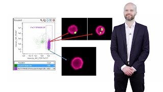 Imaging Flow Cytometry A Brief Overview  Andrew Filby Newcastle U [upl. by Gosney]