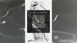 Charlie Cunningham  Frame [upl. by Lipkin]