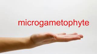 How to Pronounce microgametophyte  American English [upl. by Blockus]