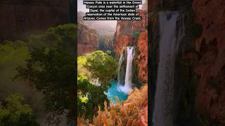 Havasu Falls is a waterfall in the Grand Canyon area waterfall grandcanyon morning 7am [upl. by Sandra]