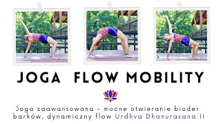 Joga Flow Mobility  Urdhva dhanurasana 3 [upl. by Bohon]