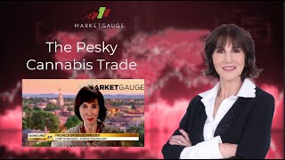 The Pesky Cannabis Trade [upl. by Ssew911]