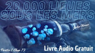 Livre Audio Gratuit  Jules Verne  20 000 lieues sous les mers  Partie 1 Chapitre 13 [upl. by Eilsew]