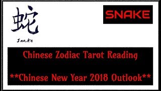 SNAKE  Believing in the Unseen  Chinese New Year Forecast [upl. by Tyrone977]