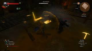 dettlaff no hit first fight witcher geralt wildhunt vampire witcher3 [upl. by Dionysus]