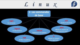 Linux  cours1  Introduction sur Linux et pratique de la commande quotlsquot avec ses options [upl. by Nat]