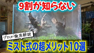 【水草水槽】プロがミスト式立ち上げをオススメする強力なメリット！〜アクアリウムin地球70 [upl. by Otit348]