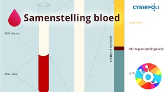 Samenstelling  Bloed [upl. by Edahsalof]