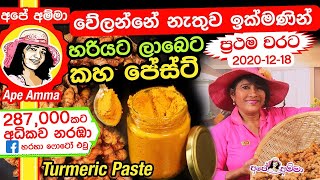 ✔ වේලන්නේ නැතුව ඉක්මණින් කහ කොටා ගන්නා ක්‍රමයක් Kaha Paste  Homemade turmeric  NO Drying Apé Amma [upl. by Aruasor769]