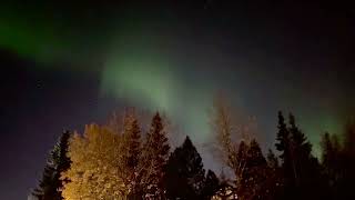 Alaska Northern Lights Above Fall Foliage Offer a Return Performance [upl. by Nohsed]