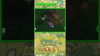 Pokemon Violet Shiny 0753 Fomantis shinypokemon [upl. by Bolan]