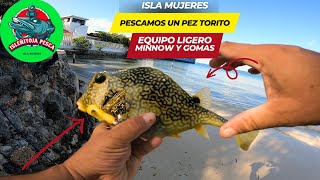 Pescando en nuevos lugares con equipo ligero mini minnow flug en muelle de isla mujeres fishing [upl. by Salmon]