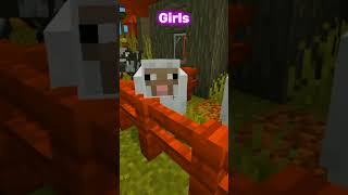 Girls vs Boys 💀 minecraft shorts [upl. by Reynolds]