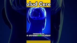 Ajo ¡Protege tu cerebro y huesos [upl. by Anait]