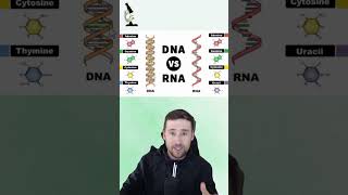 DIFERENÇAS ENTRE DNA E RNA  Genética  shorts biologia medicina [upl. by Marsh]