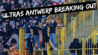 ANTWERP ULTRAS BREAKING OUT Club Brugge vs Royal Antwerp 10 [upl. by Acisey206]