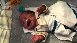 Jacksons sad Preemie cry [upl. by Coop]