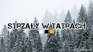 Strzały w tatrach Polish Wolgostanian Rap song history music viral viralvideo rap [upl. by Rancell]