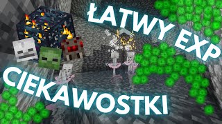 Wszystko co musisz wiedzieć o mob spawnerach w minecraft [upl. by Carole]