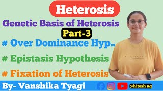 Over Dominance Epistasis and Fixation of Hypothesis Heterosis Part3 [upl. by Emory]