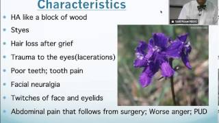 Staphysagria Homeopathic Medicine Tips For Beginners [upl. by Yniffit]