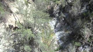 Stoddard Canyon Falls  Upper 100 Fall [upl. by Bevers302]