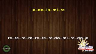 Gondwana  Felicidad  con notas Para Melódica [upl. by Adyl]