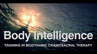 Body Intelligence Trainings [upl. by Conlin]