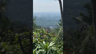 ANTIPOLO VIEW viral antipolo nice view youtubeshorts [upl. by Haida]