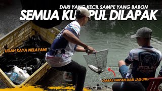 IKAN JADI KUMPUL SEADAADANYA  CUMA GARA2 PAKE UMPAN DARI BAHAN DASAR JAGUNG  Am496 [upl. by Nayar548]