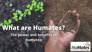 What are the benefits of Humates [upl. by Goodspeed466]