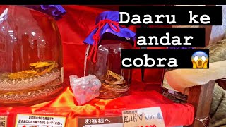 Daaru ke andar cobra😱 snake whiskey Exploring kokusai dori Okinawa market [upl. by Landbert]