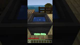 BEST MINECRAFT BANNER TRICK minecraft minecraftfactsthatwillblowyourmind minecraftshorts gaming [upl. by Niveb]