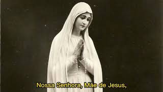 Nossa Senhora da Paz Miraculosa Rainha do Céu [upl. by Belia]