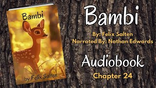 Bambi A Life In The Woods Chapter 24  Full Length Audiobook  Classic Childrens Book [upl. by Gable]